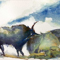 litho117-corrida30x25