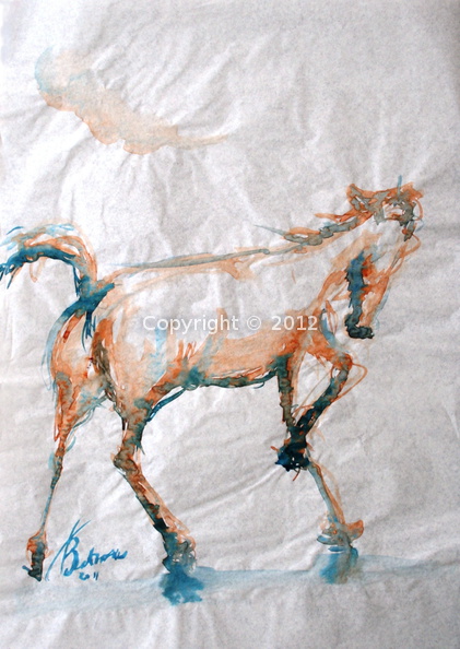 litho209-cheval1-340x480B0