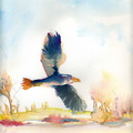 litho236rapace 27x32b0 canson300gr oct2012
